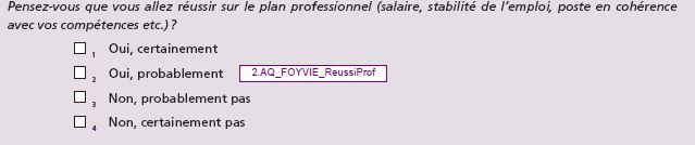 S- Question ReussiProf_Foyvie